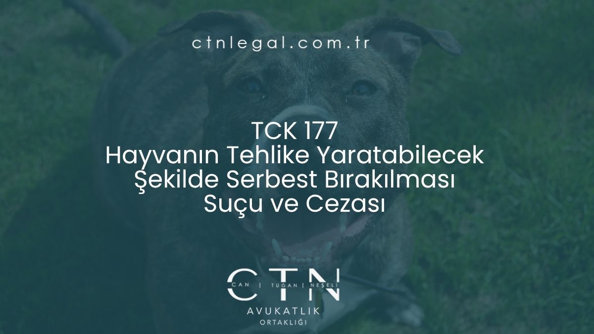 TCK 177 Hayvanın Tehlike Yaratabilecek Şekilde Serbest Bırakılması Suçu ve Cezası