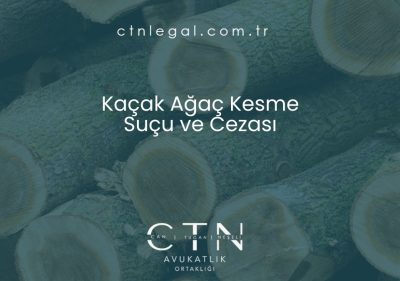 Kaçak Ağaç Kesme Suçu ve Cezası