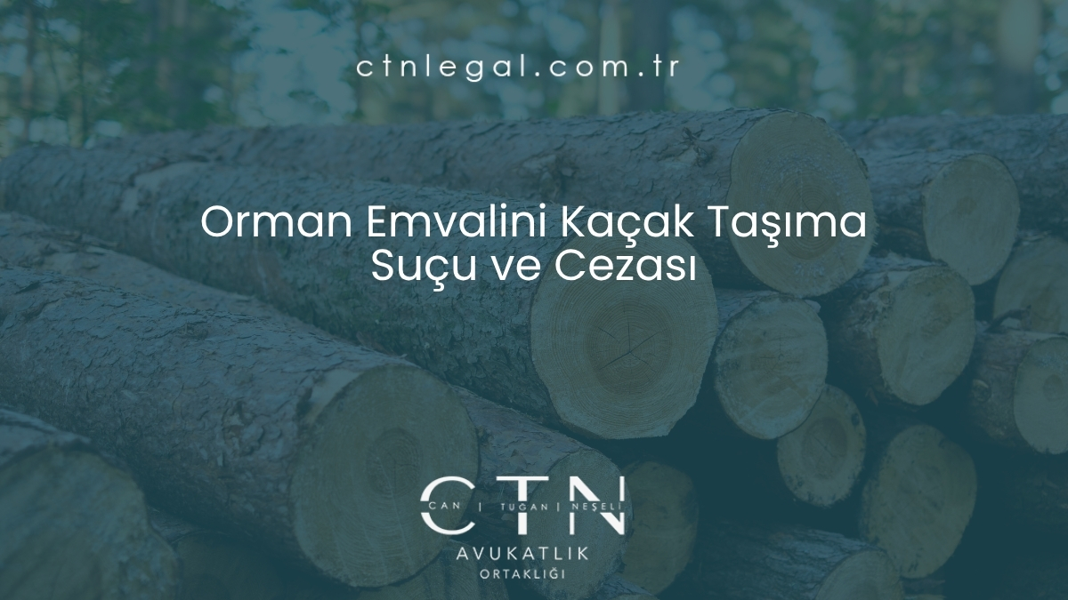 Orman Emvalini Kaçak Taşıma Suçu ve Cezası