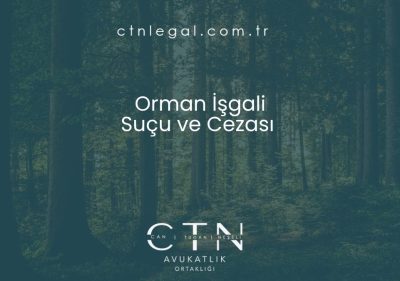 Orman İşgali Suçu ve Cezası