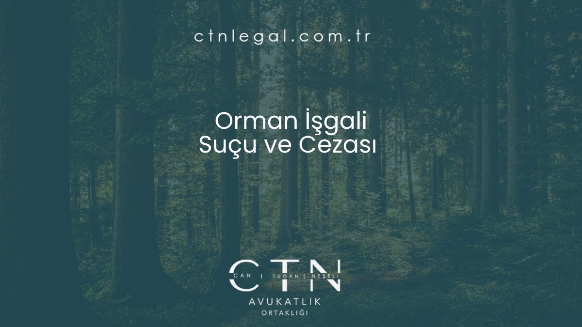 Orman İşgali Suçu ve Cezası
