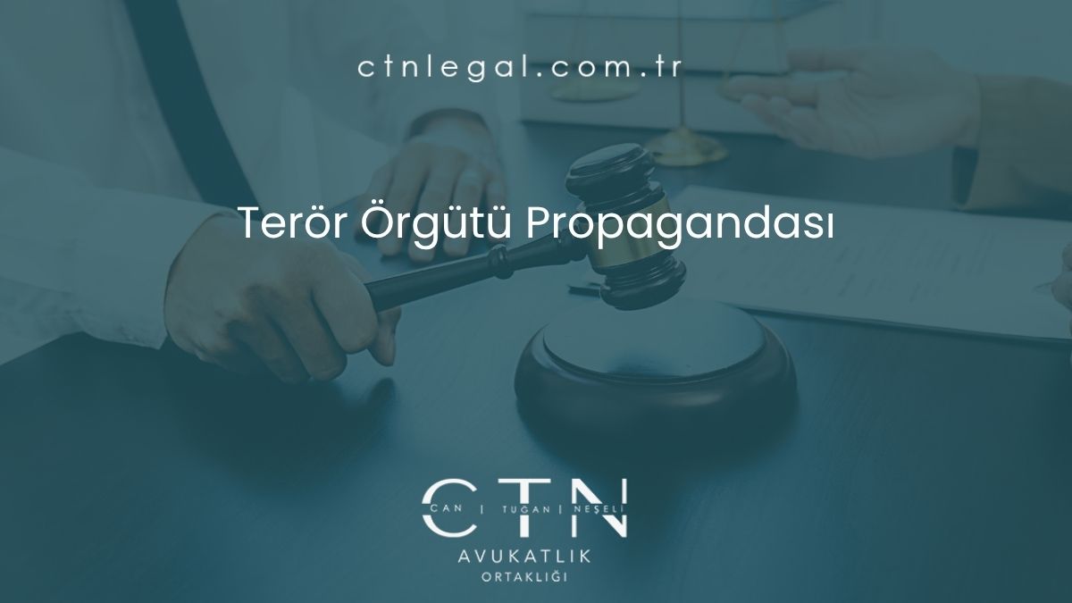 Terör örgütü propagandası