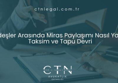 Kardeşler Arasında Miras Paylaşımı Nasıl Yapılır? Taksim ve Tapu Devri