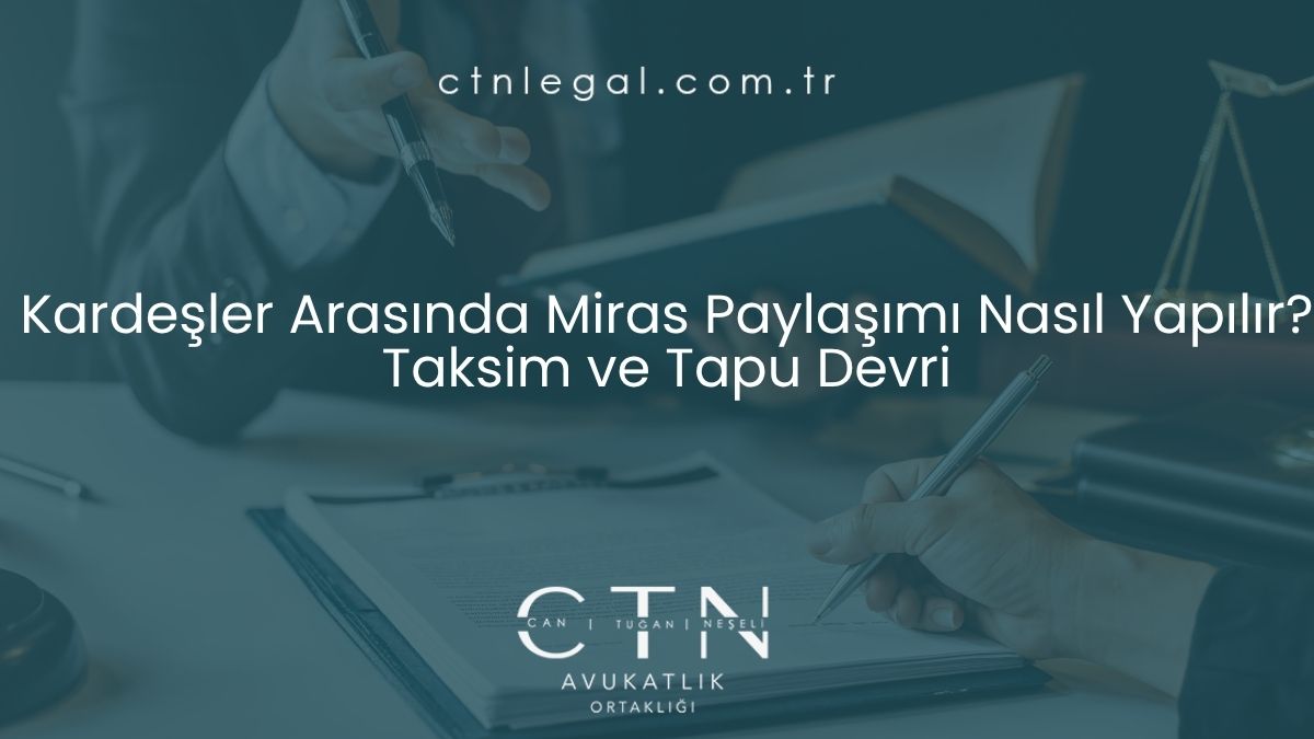 Kardeşler Arasında Miras Paylaşımı Nasıl Yapılır? Taksim ve Tapu Devri